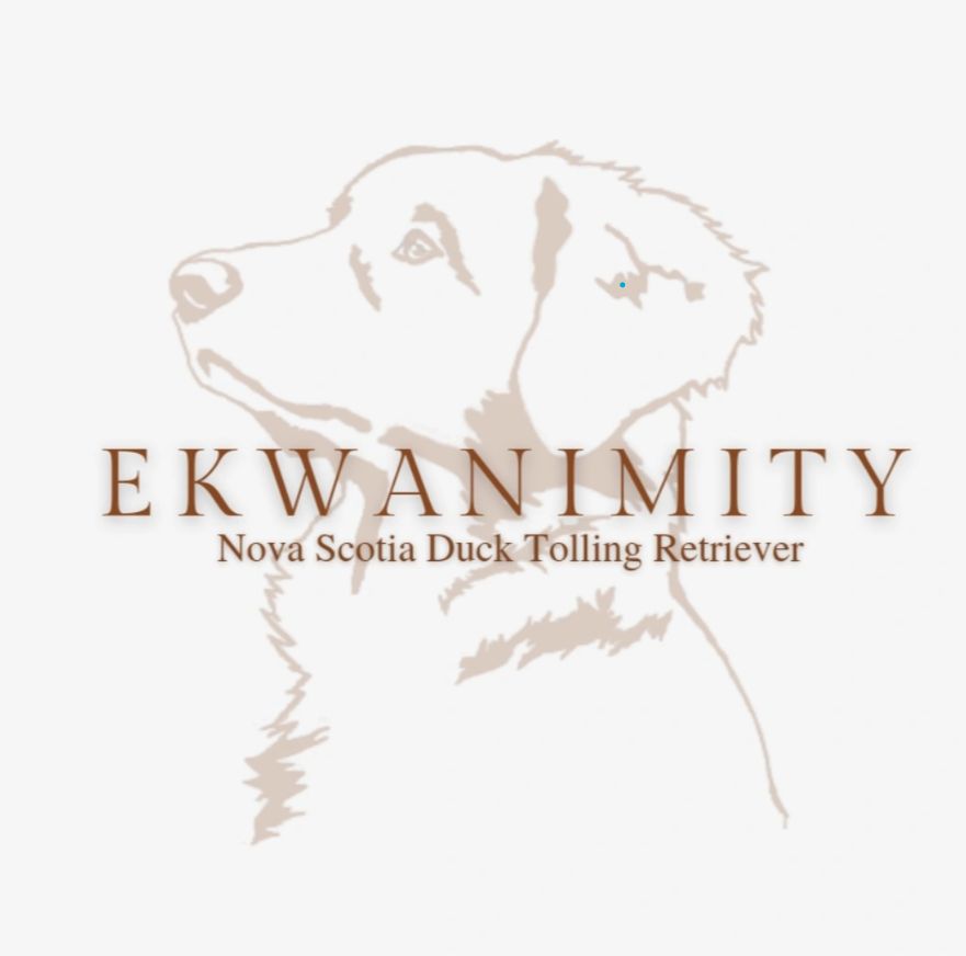 Ekwanimity - Portée prévu pour 2024